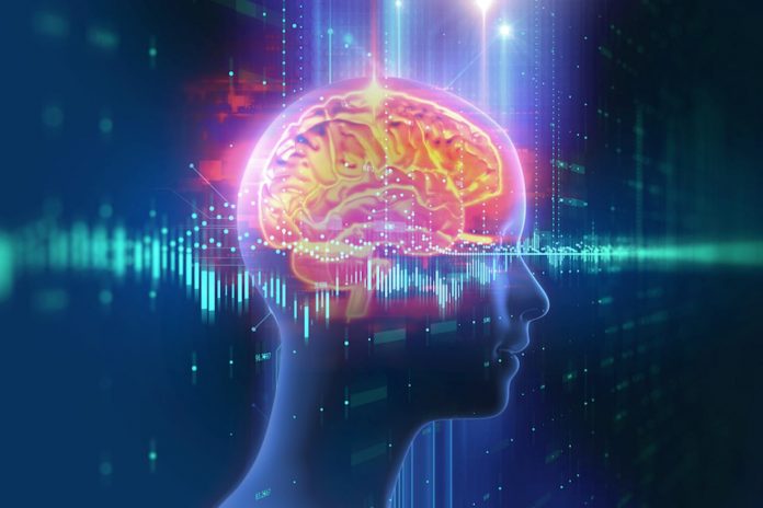 Brain Neuro Consiousnness Mindful Thoughts Communicate Fotolia Purchased 696x464